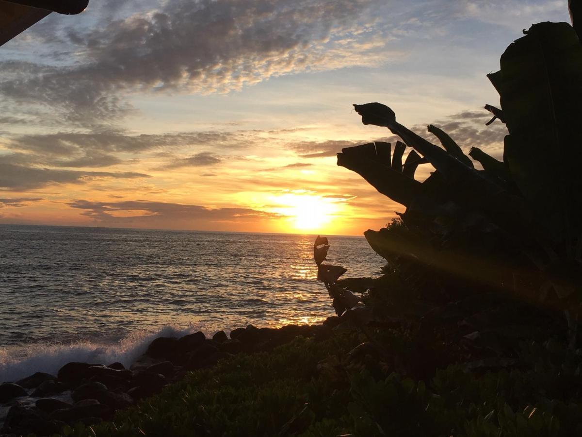 Da Kona West 305 Lejlighed Kailua-Kona Eksteriør billede