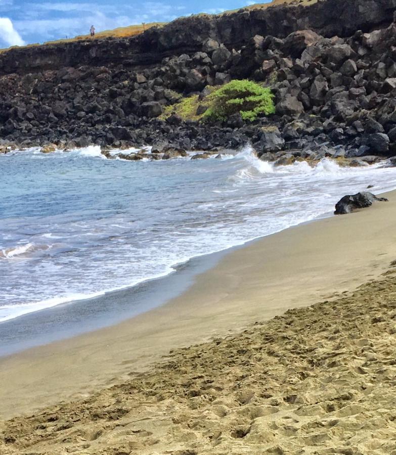 Da Kona West 305 Lejlighed Kailua-Kona Eksteriør billede